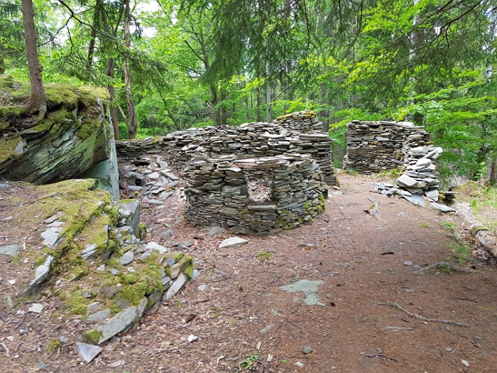 Zřícenina hradu Freudenštejn - pěší