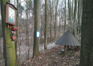 Mariánská studánka