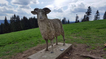 Pomník valašské ovci