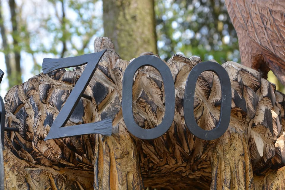 2025/5  Ždírecká zoo