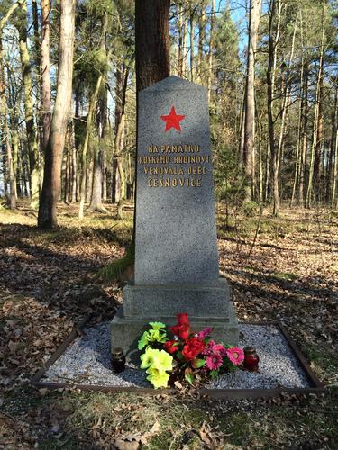 Picina - pomníček ruského vojáka